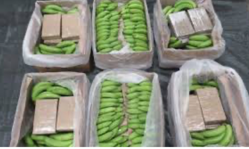 الأمن” يضبط كمية من باز الكوكايين….