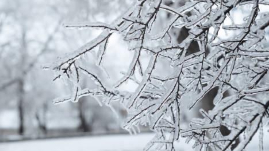 القطب الشمالي يضرب لاول مرة لبنان في تشرين الثاني منذ عقود