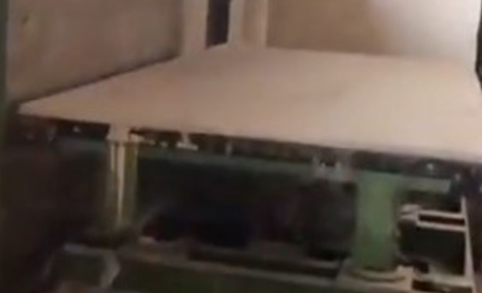 مكبس لطحن العظام والجثث في سجن صيدنايا