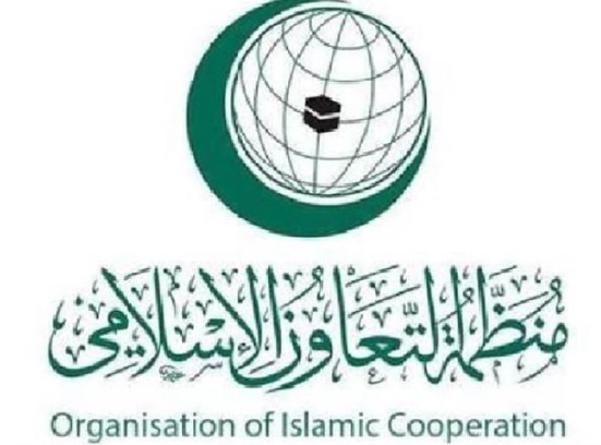 التعاون الإسلامي" تستنكر تصريحات ترمب بشأن تهجير الفلسطينيين ووقف تمويل وكالة الأونروا