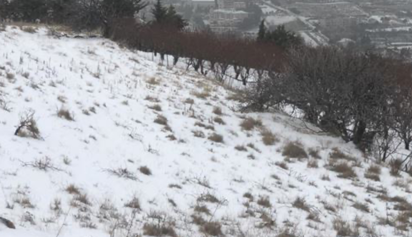 العاصفة تكتسح لبنان: طرقات مغلقة ومواطنون عالقون