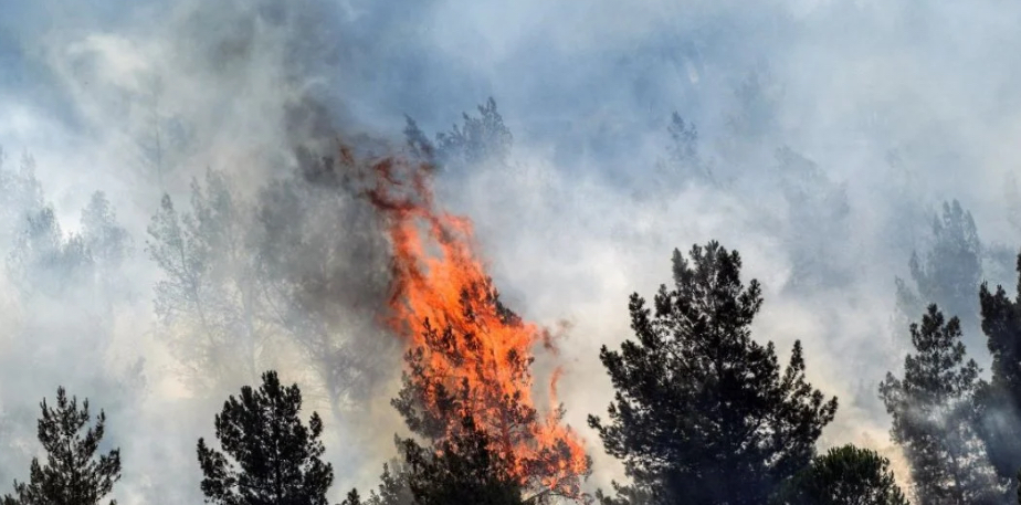 الحرائق تقترب من القدس ونتنياهو يلوّح بطلب دعم دولي