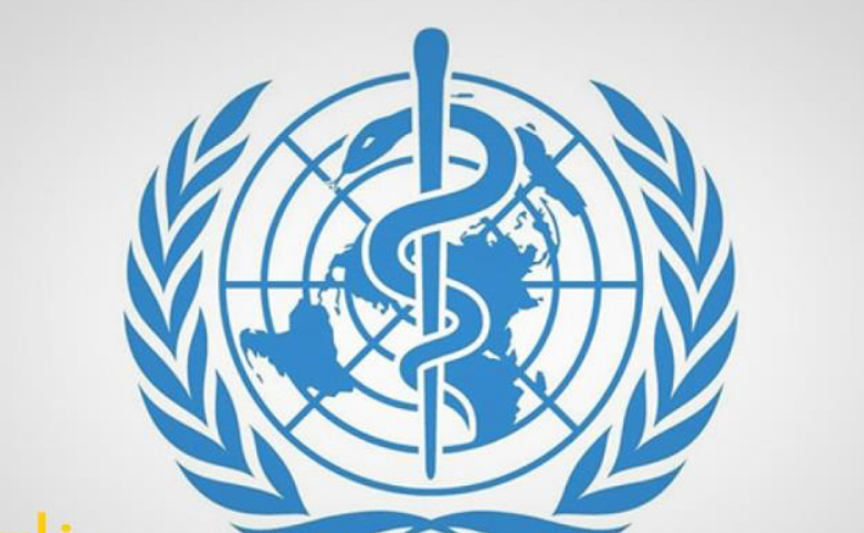 الأمم المتحدة: المساعدات التي تصل إلى غزة غير كافية ومتأخرة للغاية