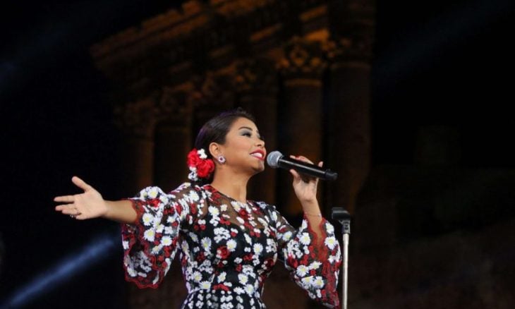 إعلامي شهير يعلن عن مبادرة لعلاج شيرين عبد الوهاب