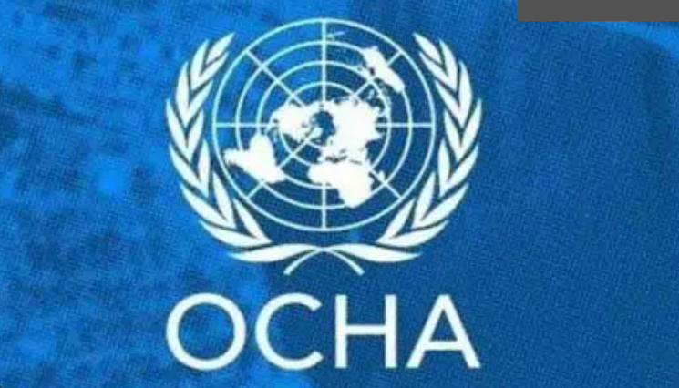 أوتشا: المستعمرون هجروا 100عائلة فلسطينية في الضفة خلال أسبوعين