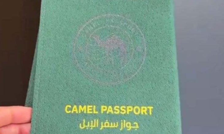 السعودية تعلن عن “جواز سفر للإبل” لتعزيز الثقة في سوق بمليارات الدولارات