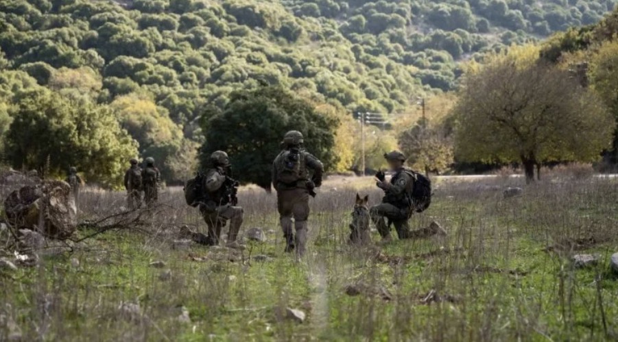 تحذير ألماني لإسرائيل… عملية برية في لبنان ستكون "خطأ"