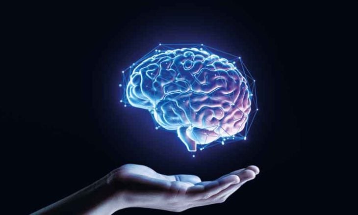 علماء صينيون ينجحون في إعادة الحياة لأنسجة الدماغ المجمدة