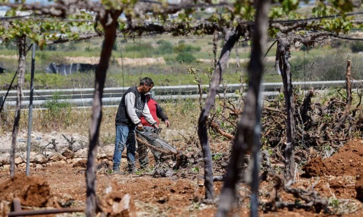 إصابة 3 فلسطينيين بهجوم مستوطنين جنوب الخليل واختناق طلبة خلال اقتحام قرية في رام الله