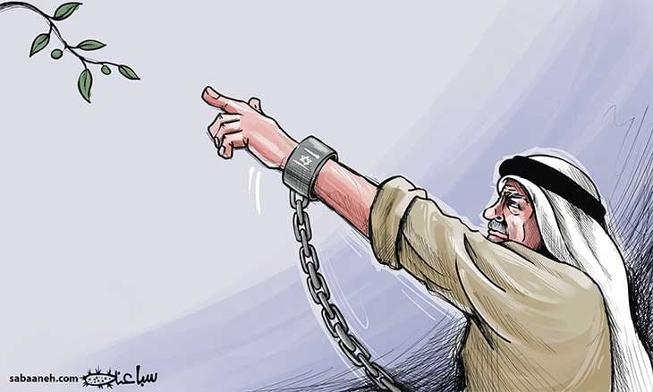 منع قطف الزيتون