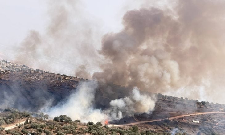 19 اعتداء موثقا على قاطفي الزيتون في الضفة الغربية تخللها حرق وسرقة وإصابات